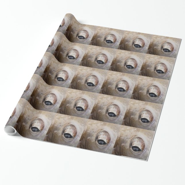 Octopus Eye Wrapping Paper (Unrolled)