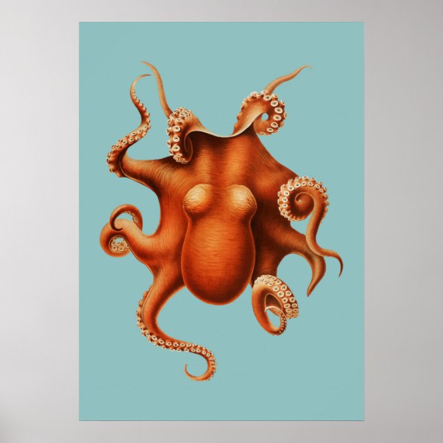 Octopus Illustration Poster (Front)