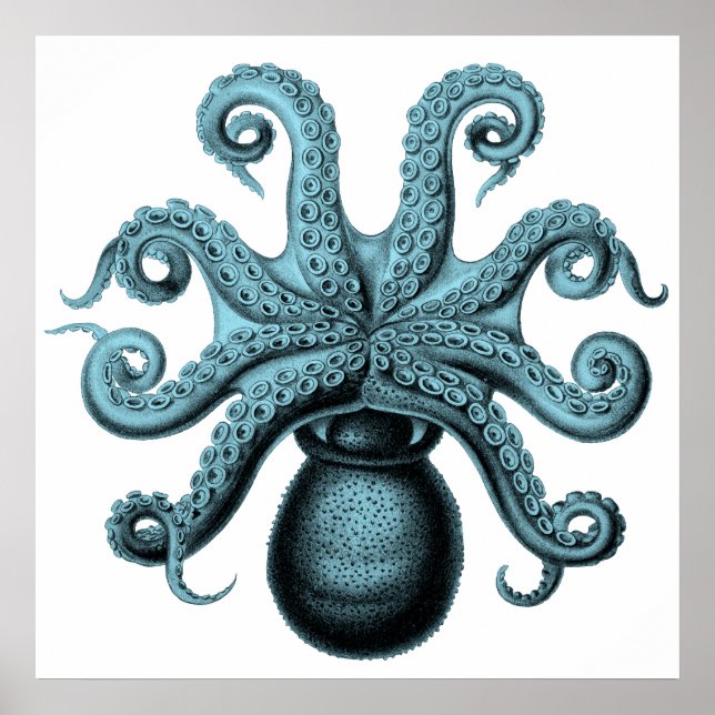 Octopus in Teal Poster (Front)