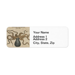 Octopus Kraken Antique Coastal Marine Wildlife