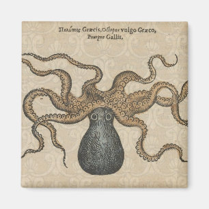 Octopus Kraken Antique Coastal Marine Wildlife Magnet