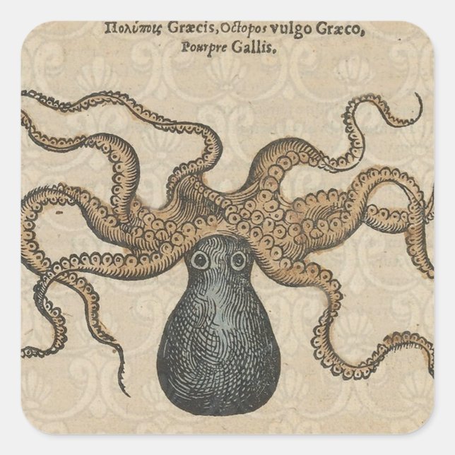 Octopus Kraken Antique Coastal Marine Wildlife Square Sticker (Front)