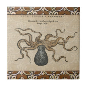 Octopus Kraken Antique Coastal Marine Wildlife Tile