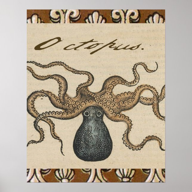 Octopus Kraken Vintage Illustration Poster (Front)