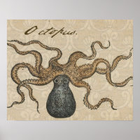 Octopus Kraken vintage scientific illustration