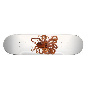 Octopus Macropus Atlantic White Spotted Octopus Skateboard