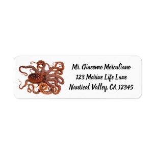 Octopus Macropus, Vintage Marine Aquatic Animals