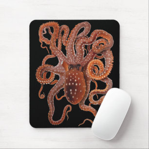 Octopus Macropus, Vintage Marine Aquatic Animals Mouse Pad