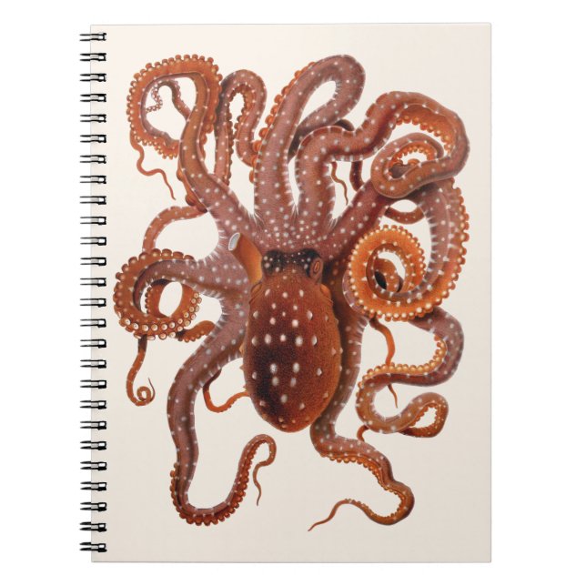 Octopus Macropus, Vintage Marine Aquatic Animals Notebook (Front)