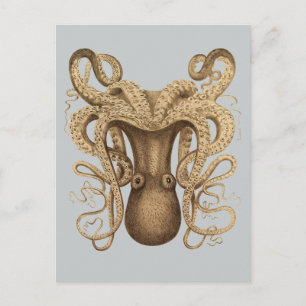 Octopus Marmoratus (Blue) Postcard