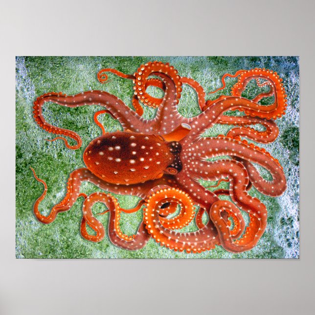 Octopus Ocean Vintage Poster (Front)
