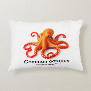 octopus on a pillow