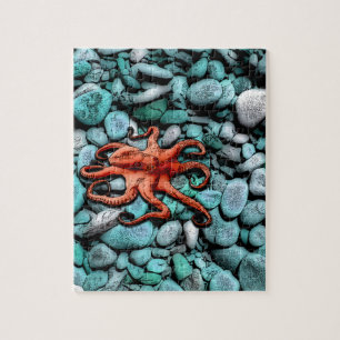 Octopus Pebbles Jigsaw Puzzle