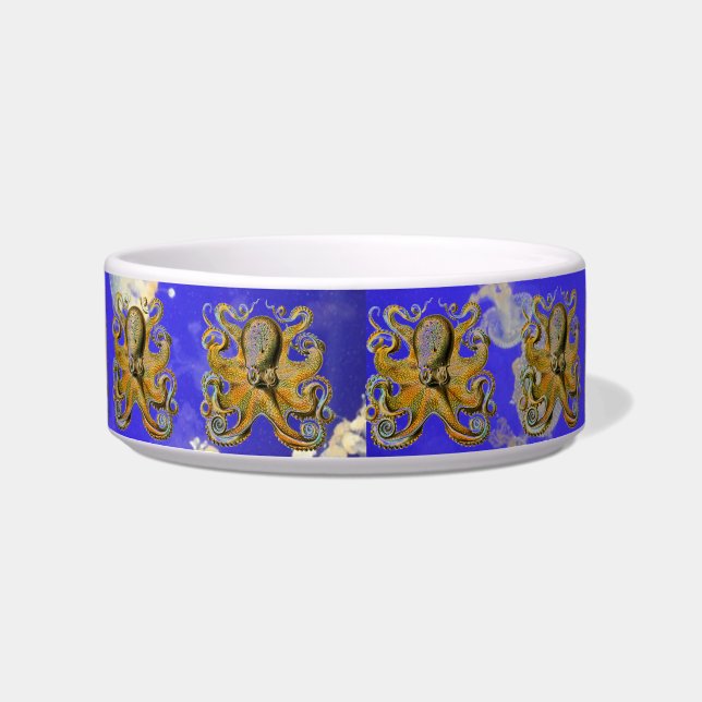Octopus Pet Bowl (Front)