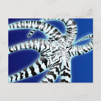 Octopus Postcard