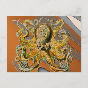 Octopus Postcard