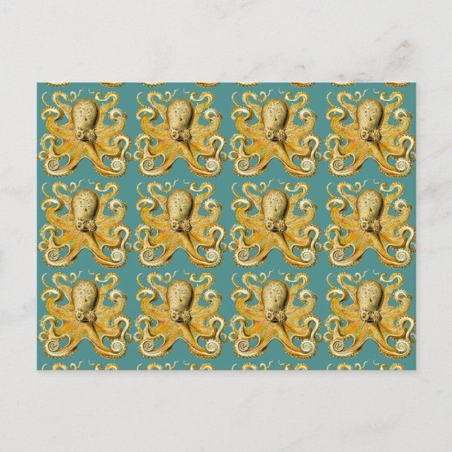 octopus postcard (Front)