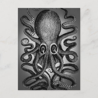 Octopus postcard