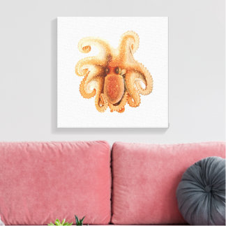 Octopus Salutii, Vintage Marine Aquatic Animals Canvas Print