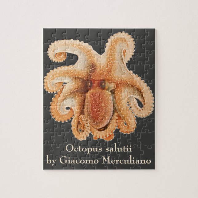 Octopus Salutii, Vintage Marine Aquatic Animals Jigsaw Puzzle (Vertical)
