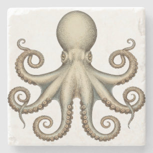 Octopus scientific diagram unique artwork retro  stone coaster