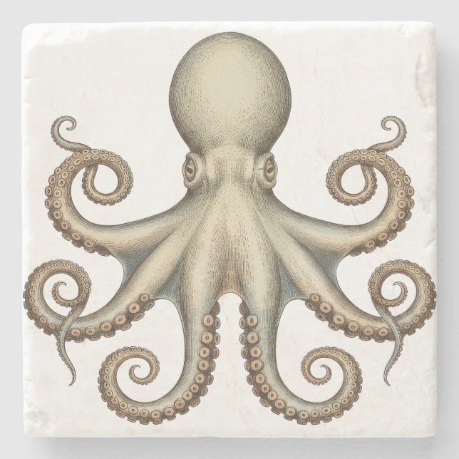 Octopus scientific diagram unique artwork retro  stone coaster (Front)