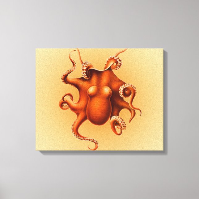 Octopus Sea Monster Creature Cephalapod Vintage Canvas Print (Front)