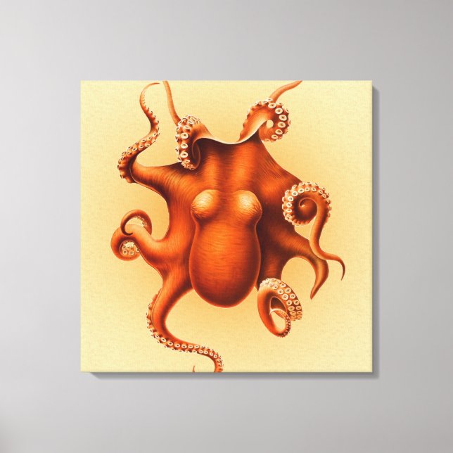 Octopus Sea Monster Creature Cephalapod Vintage Canvas Print (Front)