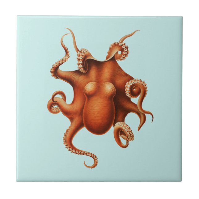 OCTOPUS SEALIFE CERAMIC TILE (Front)
