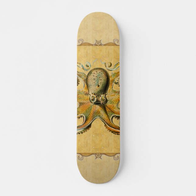 Octopus Skateboard (Front)