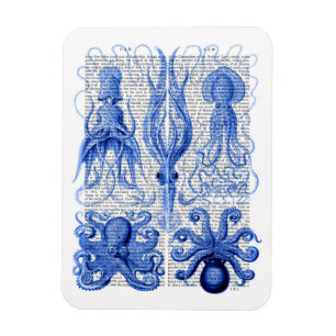 Octopus & Squid Blue Magnet
