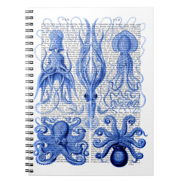 Octopus & Squid Blue Spiral Notebook (Front)