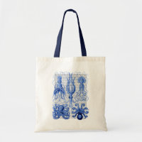 Octopus & Squid Blue