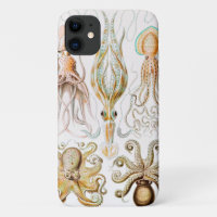 Octopus Squid, Gamochonia by Ernst Haeckel