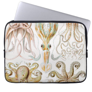 Octopus Squid, Gamochonia by Ernst Haeckel Laptop Sleeve