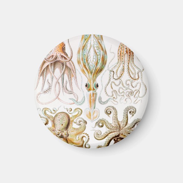 Octopus Squid, Gamochonia by Ernst Haeckel Magnet (Front)