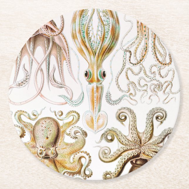 Octopus Squid, Gamochonia by Ernst Haeckel Round Paper Coaster (Front)
