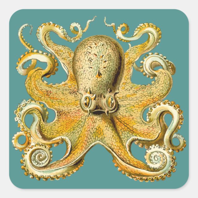 octopus stickers (Front)