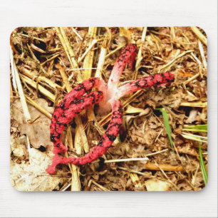 Octopus Stinkhorn Mouse Mat