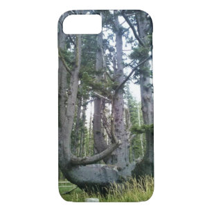 Octopus Tree, Cape Meares, Oregon Case-Mate iPhone Case