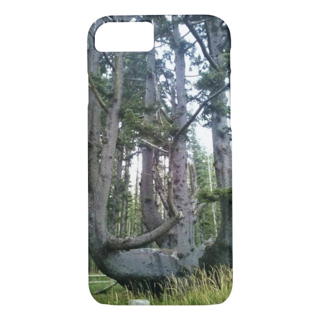 Octopus Tree, Cape Meares, Oregon Case-Mate iPhone Case (Back)