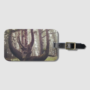 Octopus Tree, Cape Meares, Oregon Luggage Tag