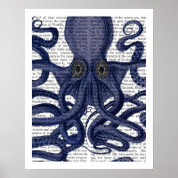 Octopus Up-Close