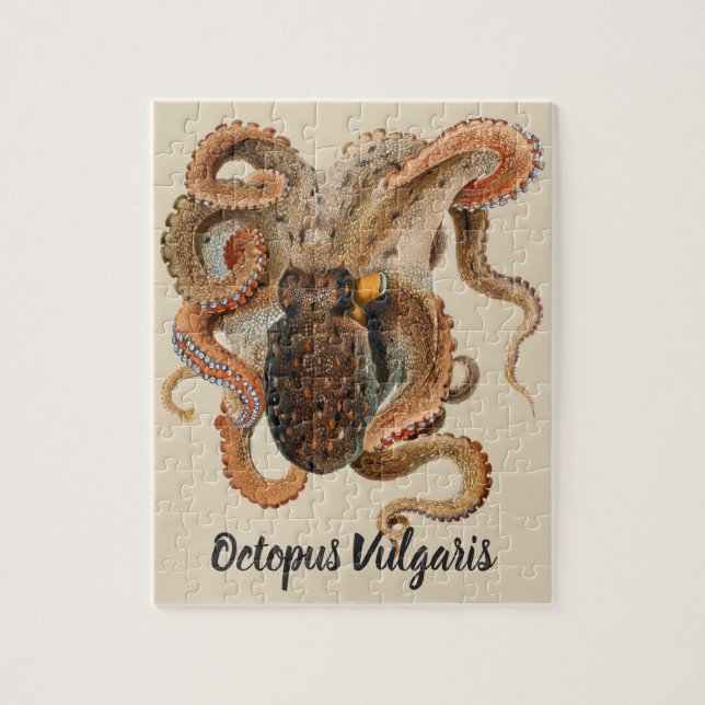 Octopus Vulgaris, Vintage Marine Life Animals Jigsaw Puzzle (Vertical)
