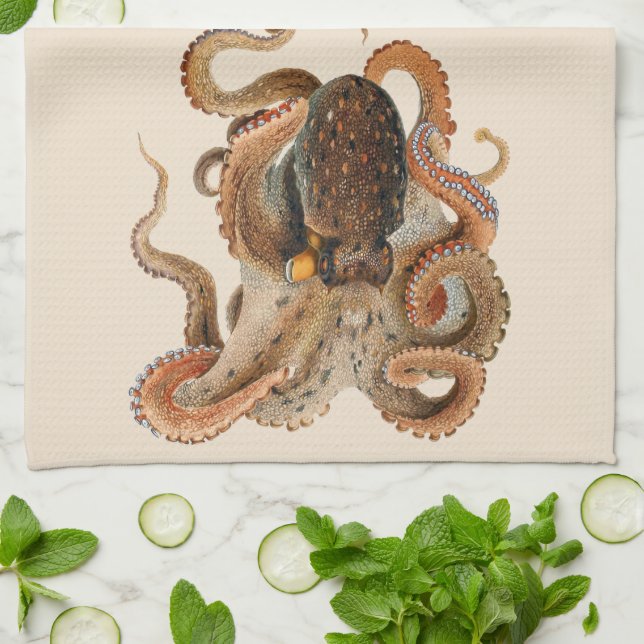 Octopus Vulgaris, Vintage Marine Life Animals Tea Towel (Folded)