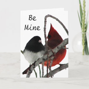 Odd Couple - Birds in the Bush Holiday Card