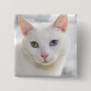 odd-eyed white cat close up face 15 cm square badge