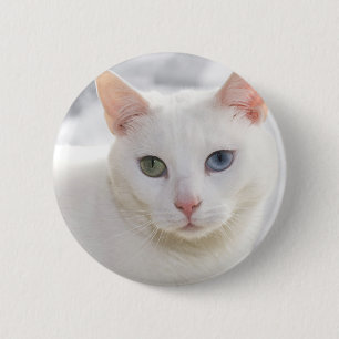 odd-eyed white cat close up face 6 cm round badge