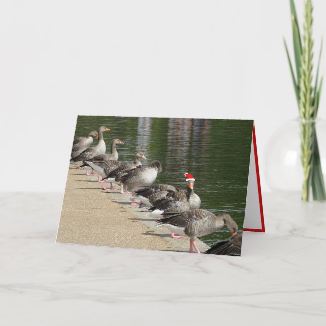 Odd Goose Christmas Card (Front)