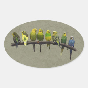 Odd One Out Sticker
